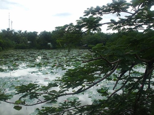 Bài[-]sấm[-]bí[-]ẩn[-]về[-]kho[-]báu[-]dòng[-]họ[-]Mạc[-]ở[-]Hà[-]Tiên